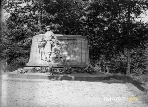 Monument militaire (Saint-Benoît-la-Chipotte)